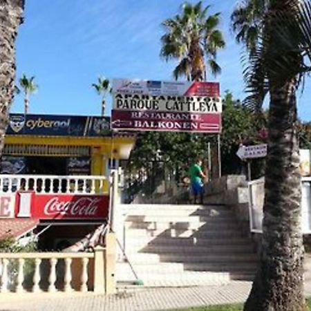 Parque Cattleya Tenerife Playa de las Americas (Tenerife) Exterior foto